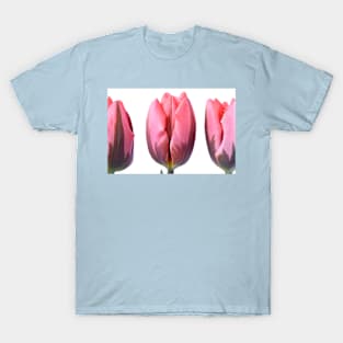 Tulipa &#39;Pretty Princess&#39; Triumph Group Tulip T-Shirt